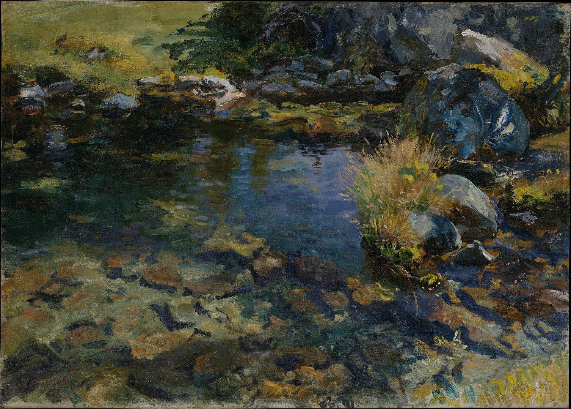 A clear mountain pool reflects the blue sky between mossy boulders and a sunlit tuft of golden grass.